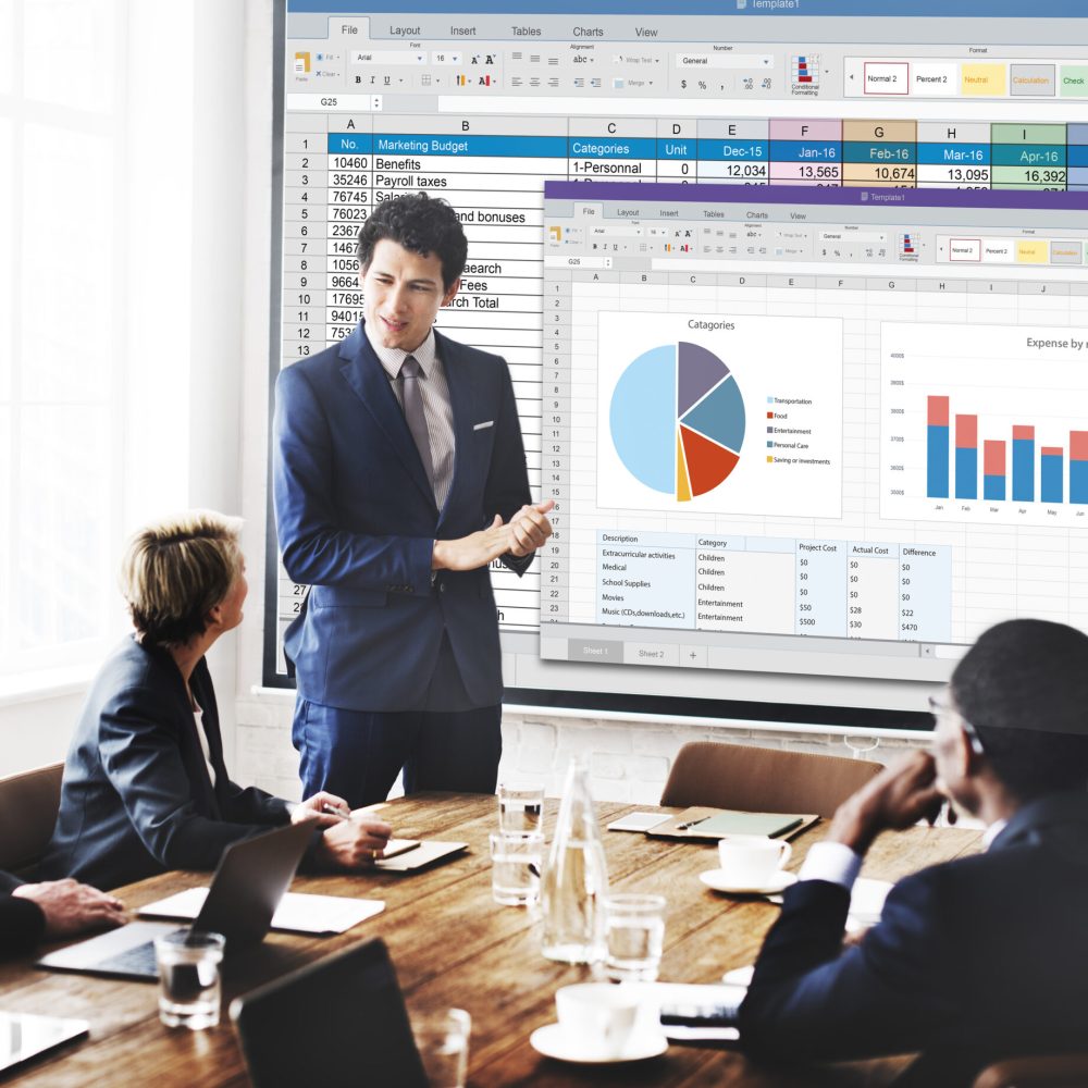 Spreadsheet Document Financal Report Concept